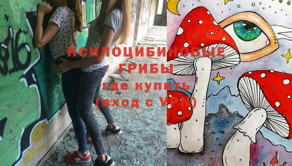меф Приозерск